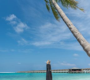 photo-1767452985188-b3c17737d320